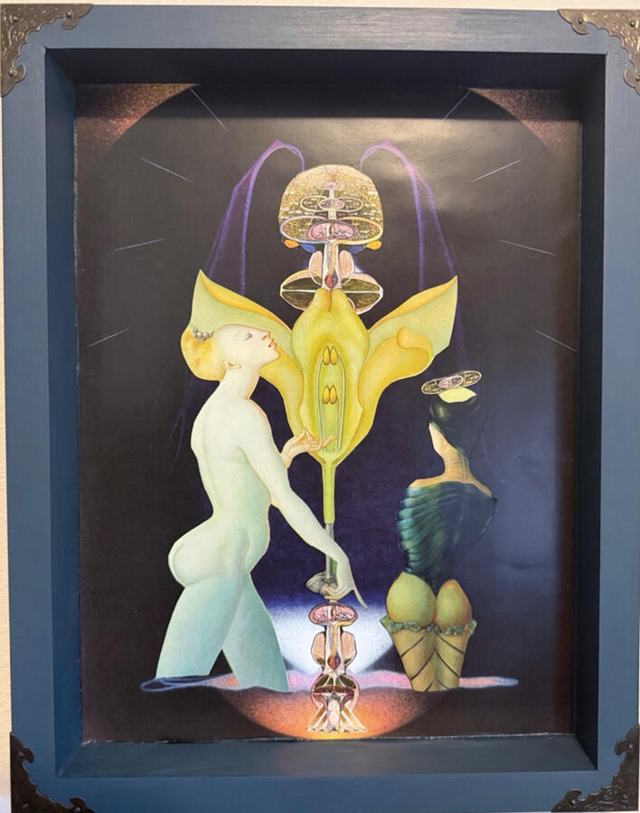 The Non-Binary Botany Lesson A Tribute to Agnes Pelton, Leonor Fini and Hilma af Klint