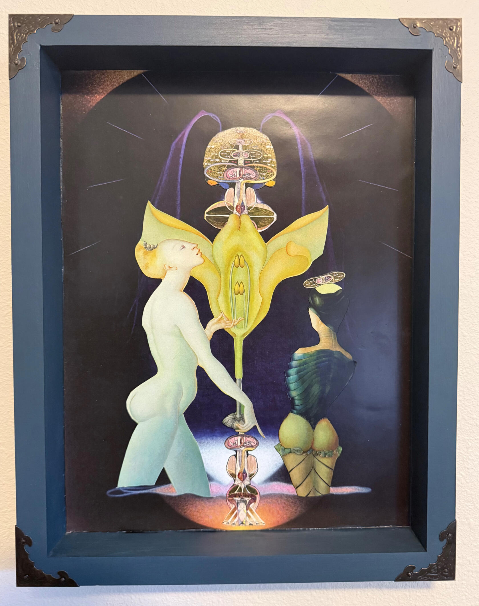 The non-binary botany lesson a tribute to Agnes Pelton, Leonor Fini and Hilma af Klint